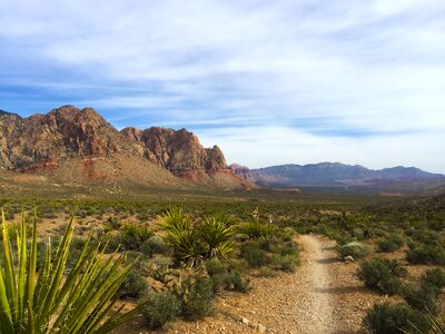 Desert shrub las vegas trail rainbow mountain photo