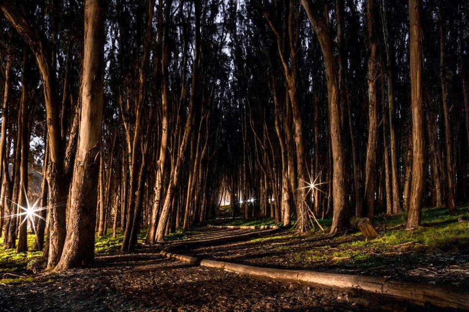 Presidio, San francisco, United states