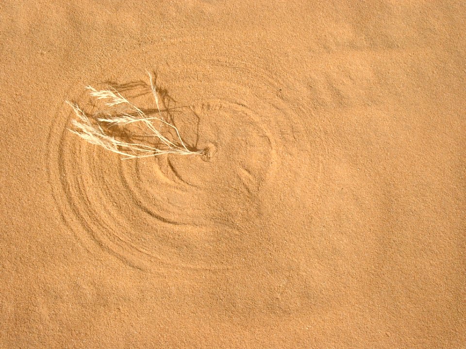 Tassili n ajjer, Algeria, Desert