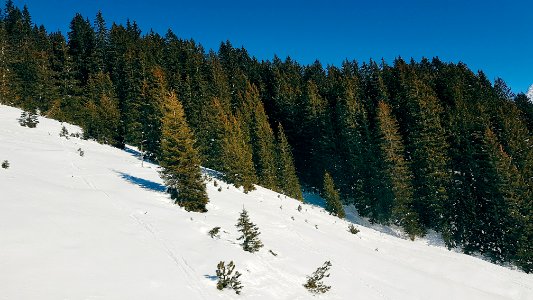 Austria, Lech, Anton
