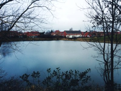 Trees, Water, Lake