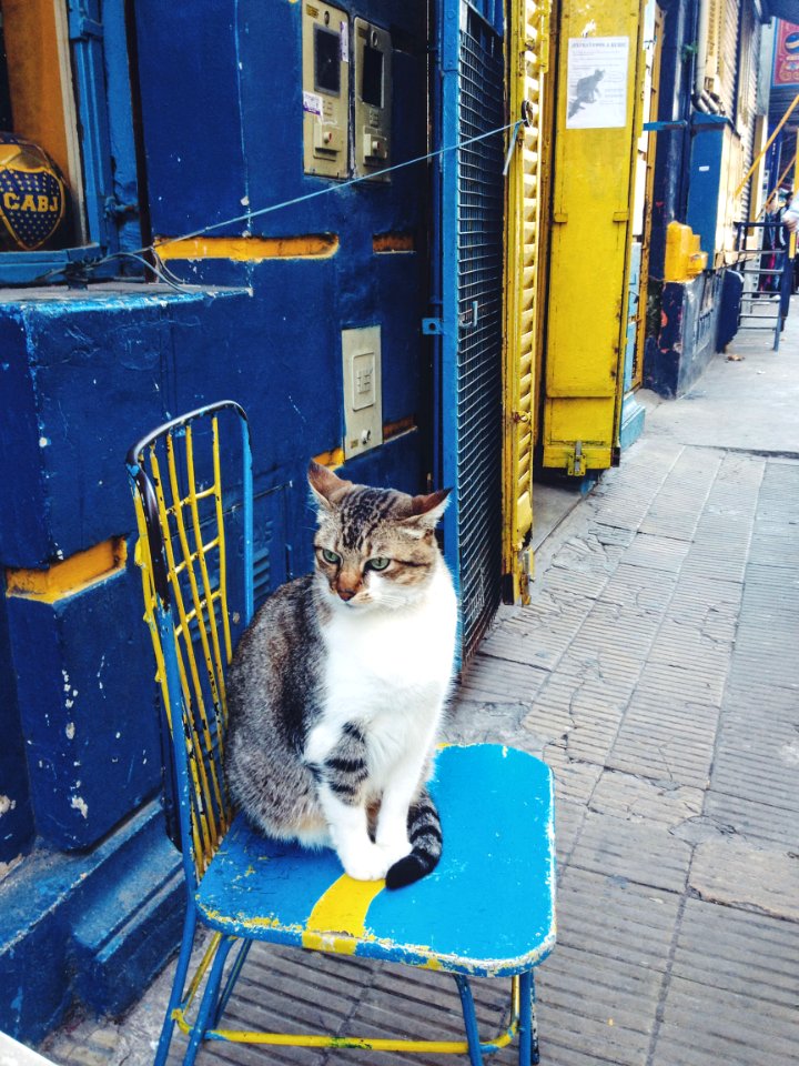 Buenos aires, Argentina, Travel
