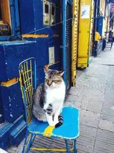Buenos aires, Argentina, Travel