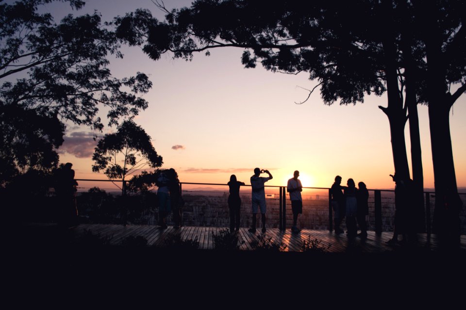 silhouette photography of people