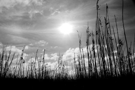 Tamar river, Australia, Clouds photo