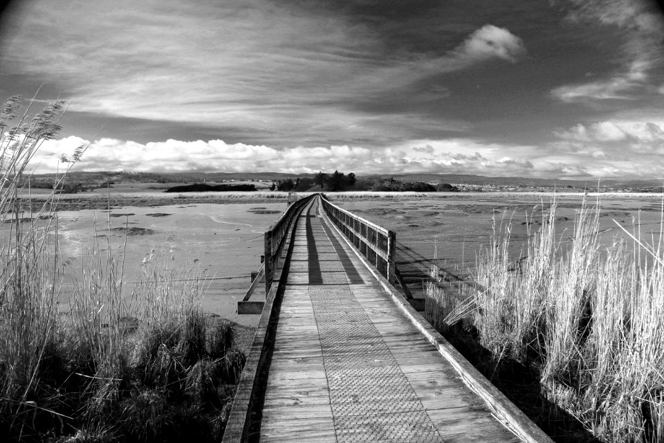 Tamar river, Australia, Isl