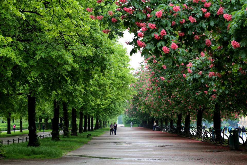 English garden, Munich, Germany