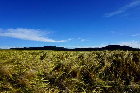 Bavaria, Germany, Blue photo