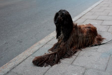 Stockholm, Sweden, Street