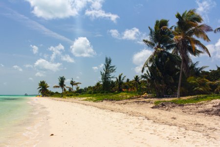 Cuba, Cayo guillermo, Isl