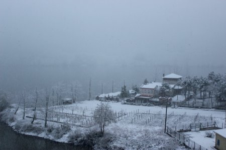 Ayvack, Turkey, 2020