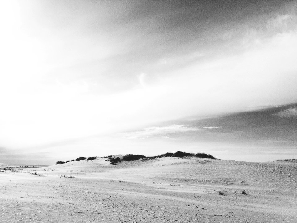 Region syddanmark, Denmark, Grass