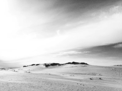 Region syddanmark, Denmark, Grass