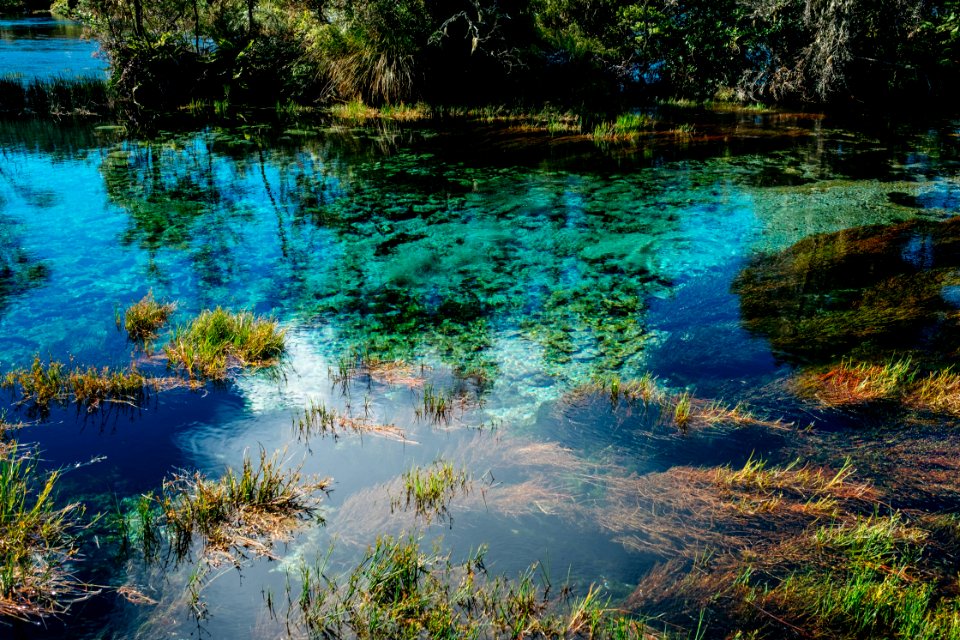 New zeal, Te waikoropupu springs, Takaka