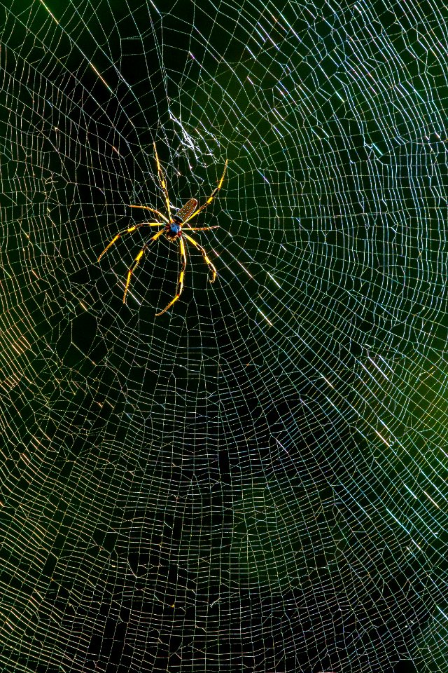 Fairchild tropical botanic garden, Miami, United states
