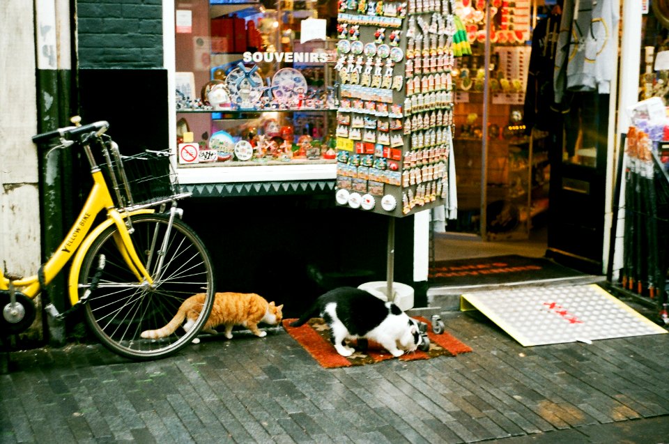 35mm, Film, Zenit ttl