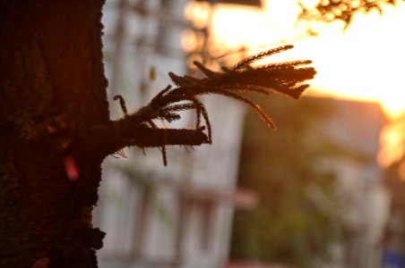 Coimbatore, India, Morning