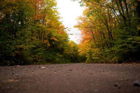 Hungarian falls, United states, Autumn