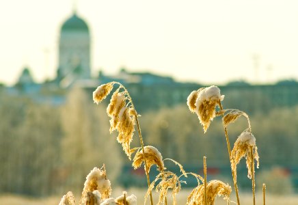 Helsinki, Finl, Snow photo