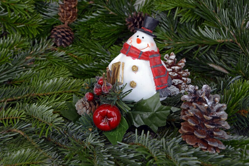 Holly advent christmas time