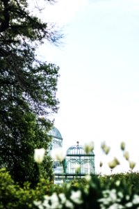 Belgium, Royal greenhouses of laeken, Bruxelles