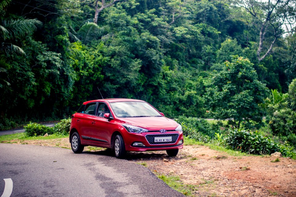 Ponmudi, India, Triv