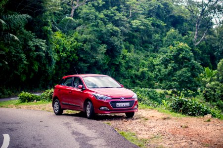 Ponmudi, India, Triv