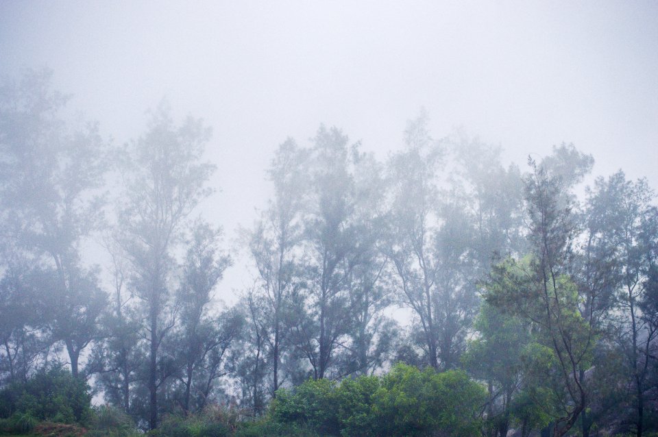 Ponmudi, Ponmudi hill station, India