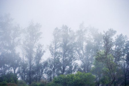 Ponmudi, Ponmudi hill station, India