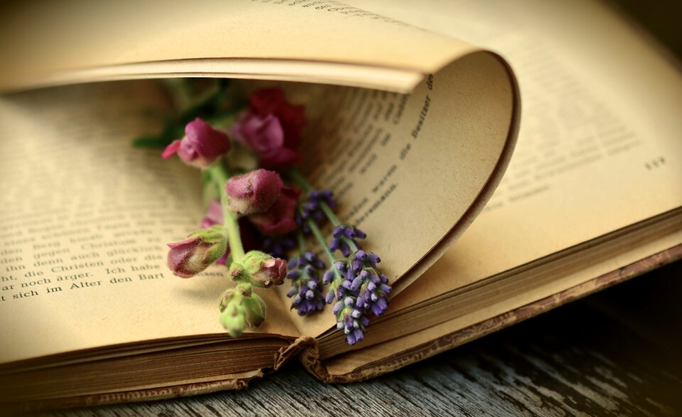 Used historically antiquarian