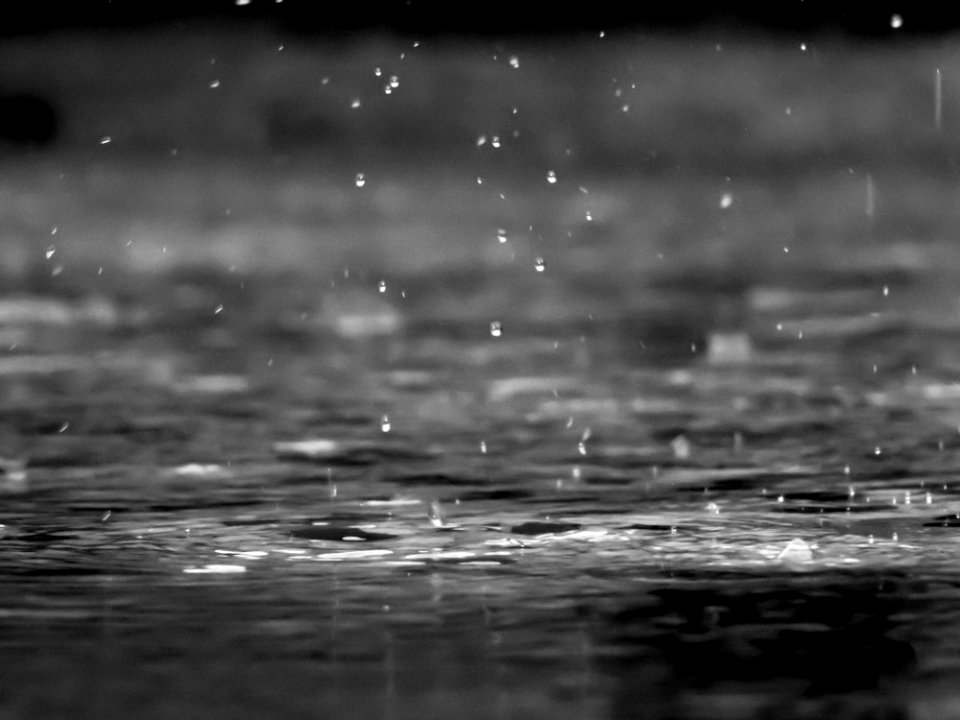 grayscale photography of raindrops