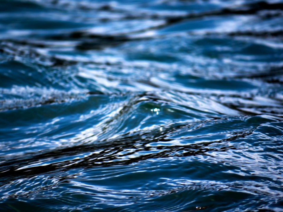 Lake, Bokeh, Close up