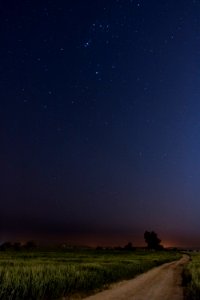 New york, Texas, United states