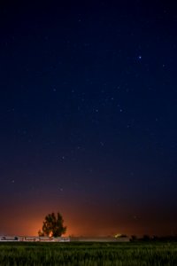 New york, Texas, United states