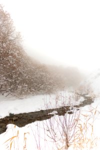 Christmas, Erlust, Holidays