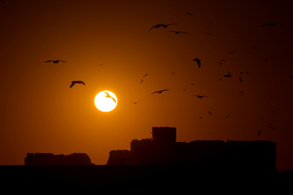 Essaouira, Morocco, Marrakeshtensiftel haouz