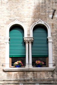Flowers, Venice
