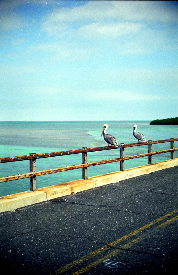 35mm, Film, Keys