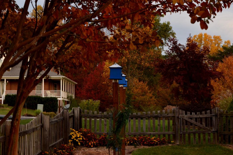 The woods, Hedgesville, United states