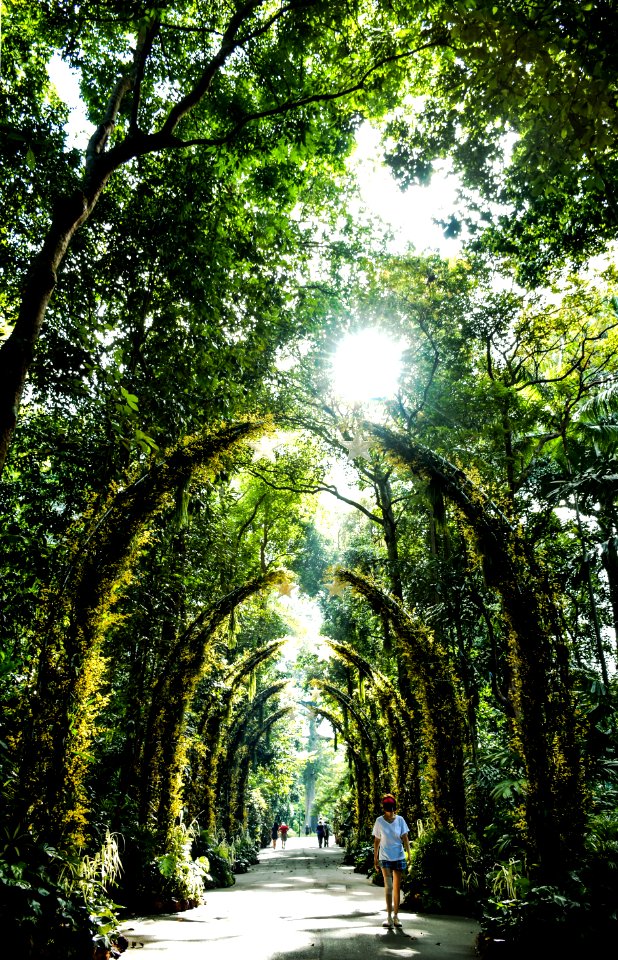 Singapore, Parks, Greenery