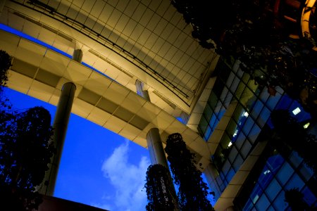 Urban garden, National library, Design