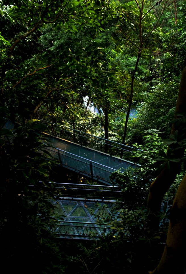 Parks, Forest, Greenery