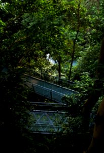 Parks, Forest, Greenery