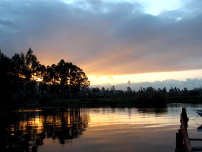 Ecuador, Trees, Lake