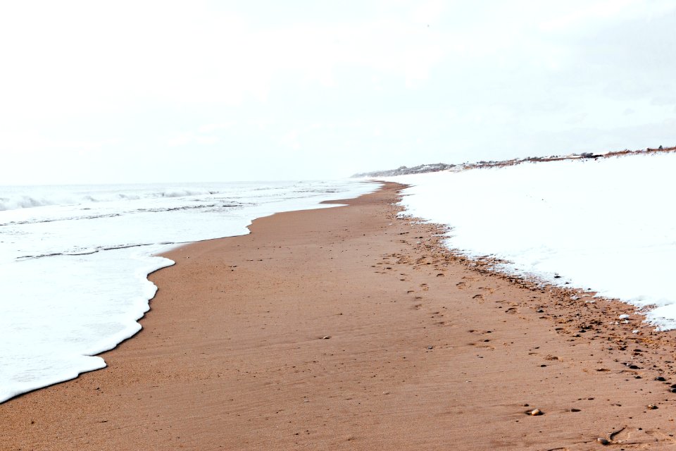 brown sand near body of water during daytime photo