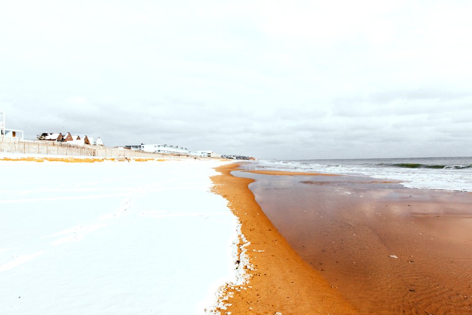 people on beach during daytime photo