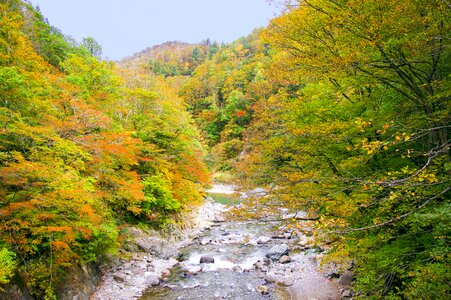 Valley autumn nagano photo