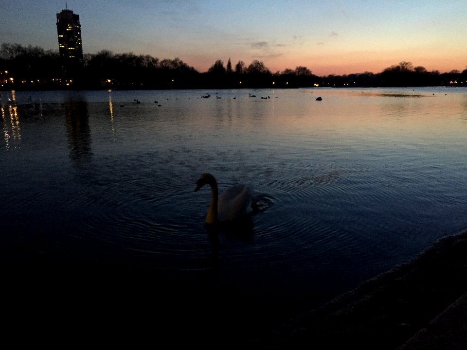 Hyde park, United kingdom, London