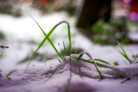 Quchan, Iran, Winter photo