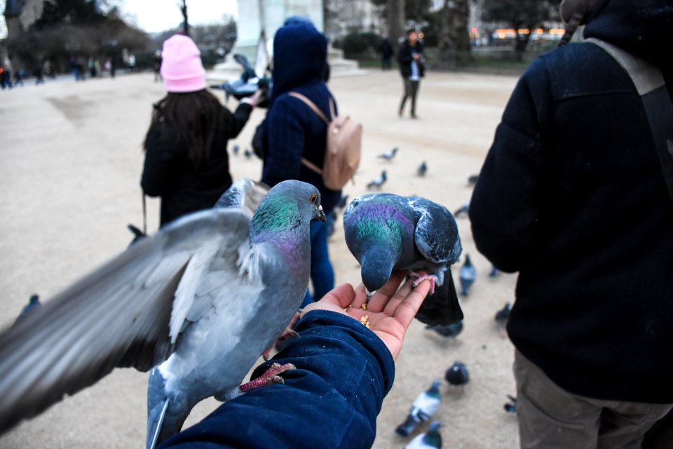 Panthon, Paris, France photo